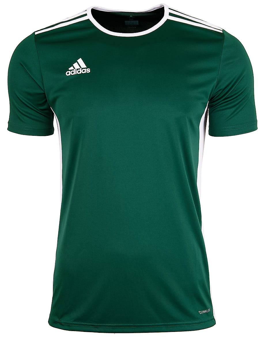 Dětské tričko adidas Entrada 18 Jersey JUNIOR CE9563