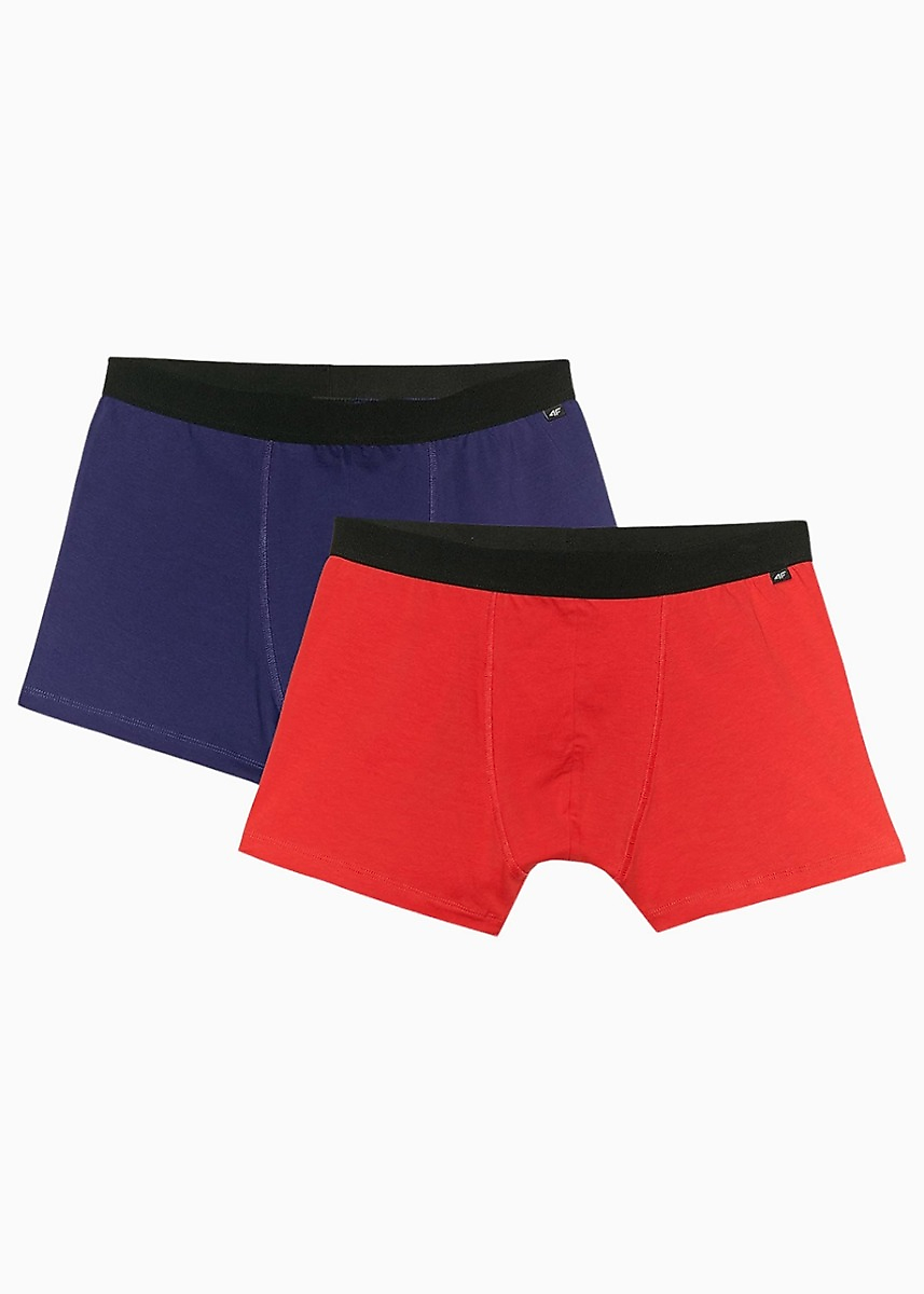 4F Pánské boxerky M059 2-pack 4FWMM00UBXSM059 91S