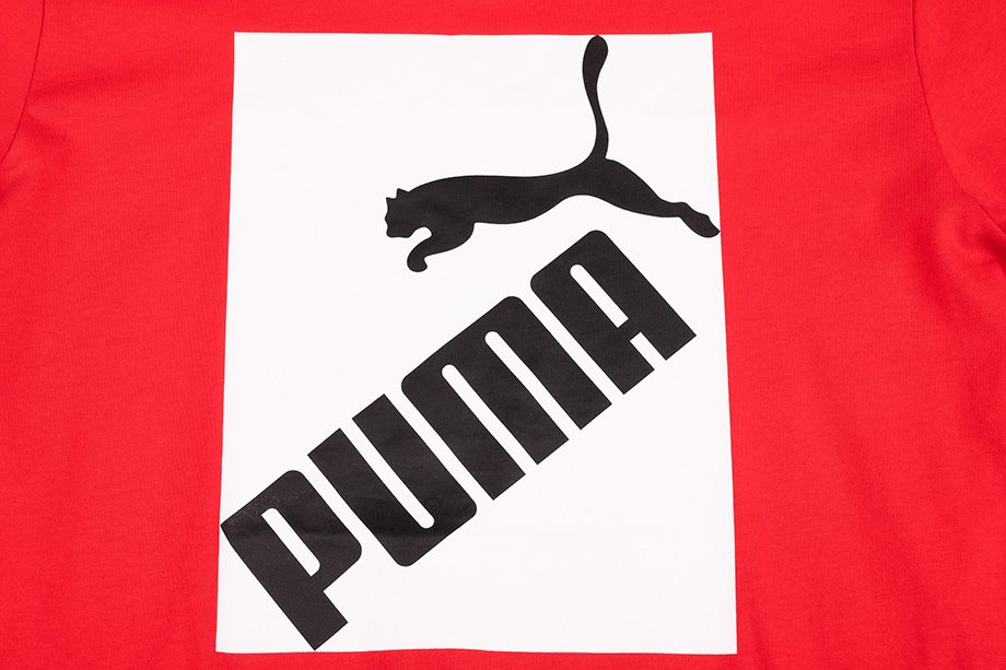 PUMA pánské tričko Big Logo Tee 581386 11