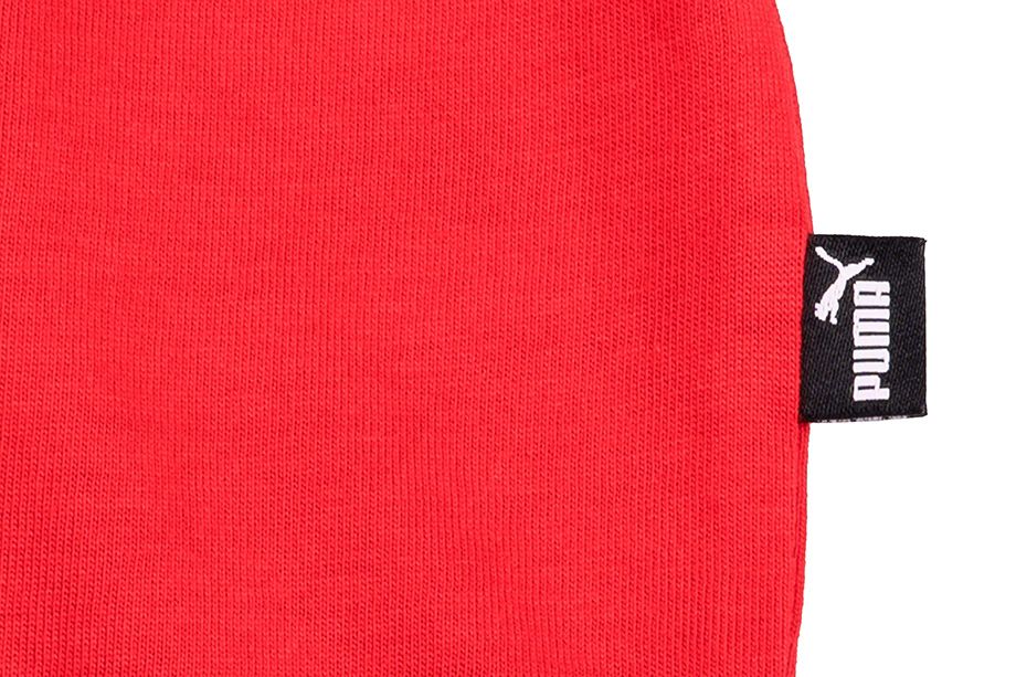PUMA pánské tričko Big Logo Tee 581386 11