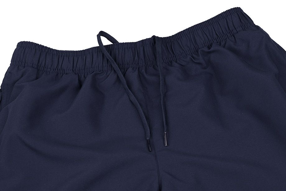 Nike Šortky Koupání Pánské 7 Volley NESSA559 440