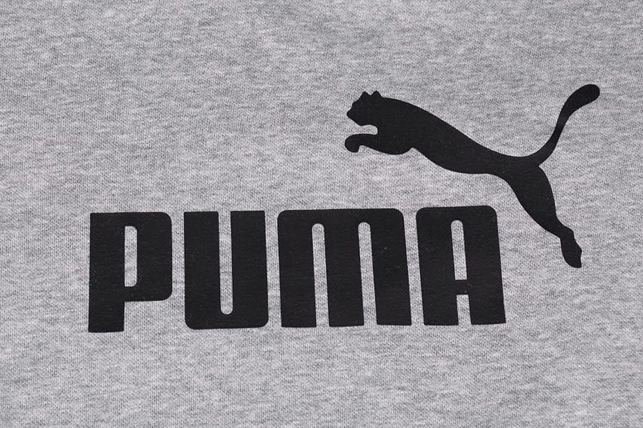 PUMA Pánská Mikina Essentials Logo Crew FL 851747 03