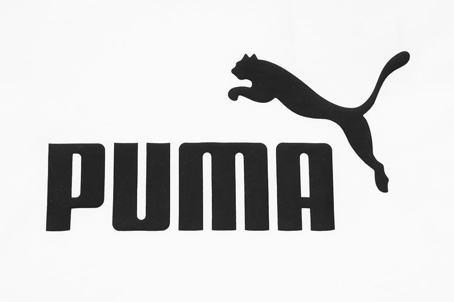 Puma Dámské Tričko Amplified Graphic Tee 585902 02