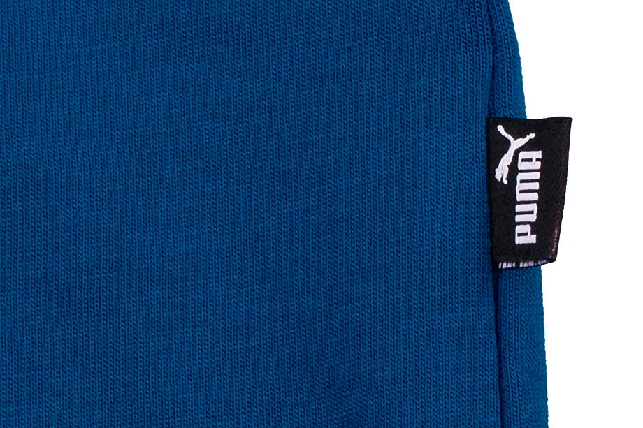 PUMA Tričko Pánské ESS Logo Tee 586667 12