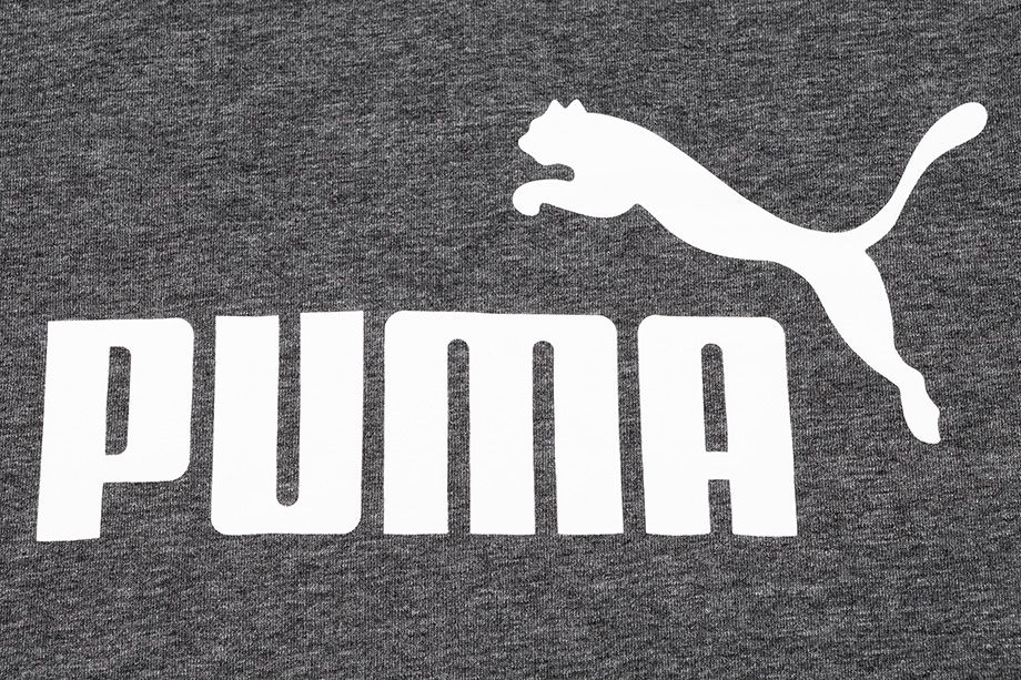PUMA Tričko Pánské Essential Heather 586736 01