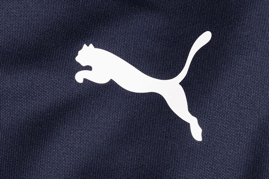 Puma Pánská tepláková souprava TeamRISE Track 657392 06/657390 06