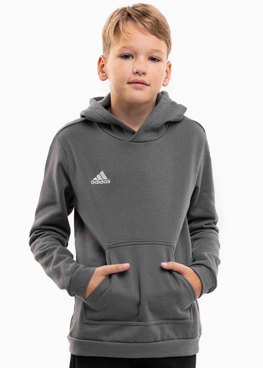 adidas Dětská Mikina Entrada 22 Hoody H57515