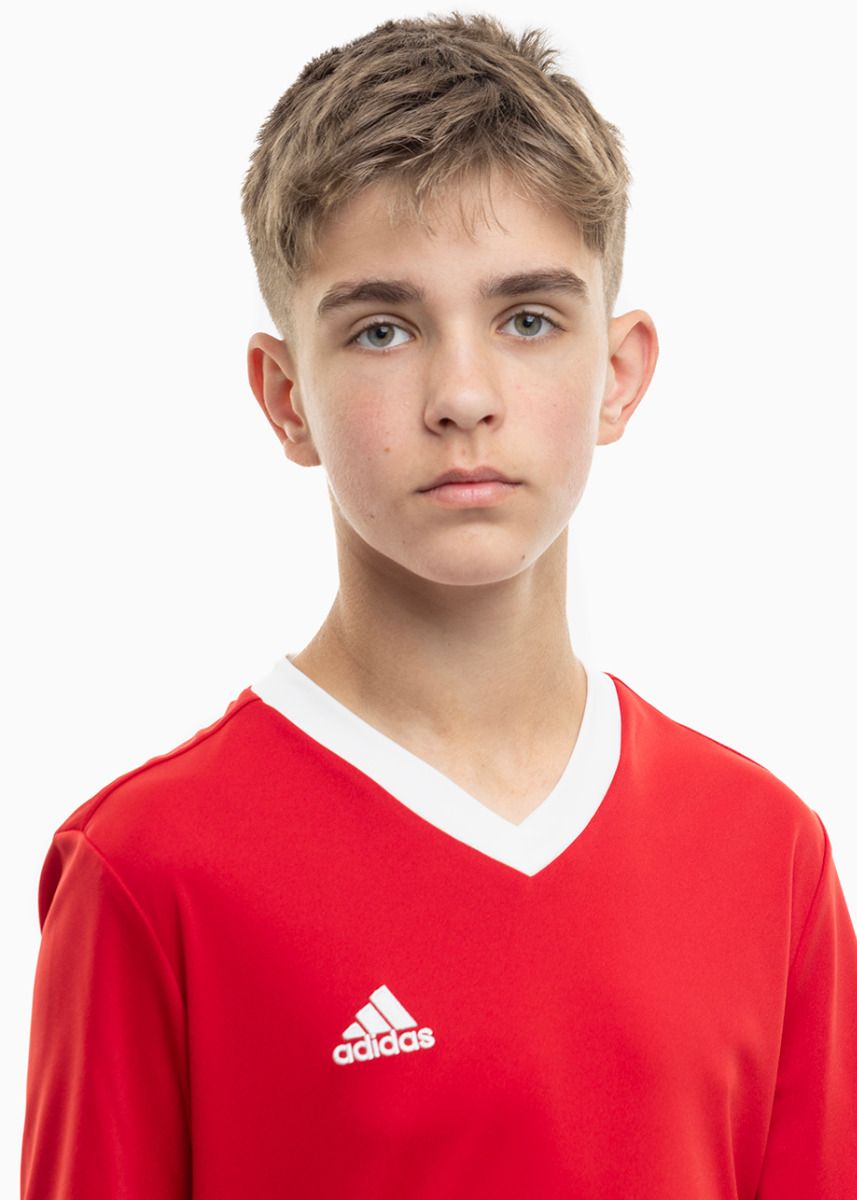 adidas Dětský Sportovní Set Tričko Šortky Entrada 22 Jersey H57496/H57501 adidas Dětský Sportovní Set Tričko Šortky Entrada 22 Jersey H57496/H57501