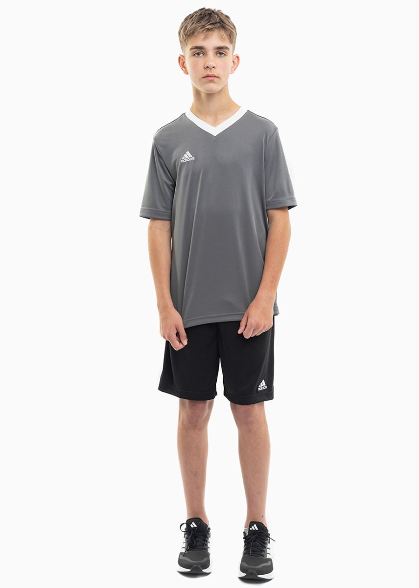 adidas Dětský Sportovní Set Tričko Šortky Entrada 22 Jersey H57499/H57502 adidas Dětský Sportovní Set Tričko Šortky Entrada 22 Jersey H57499/H57502