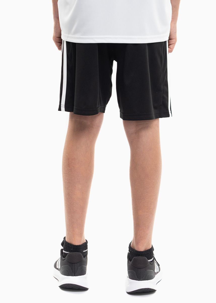 adidas Dětský Sportovní Set Tričko Šortky Squadra 21 Jersey GN5740/GN5767 adidas Dětský Sportovní Set Tričko Šortky Squadra 21 Jersey GN5740/GN5767