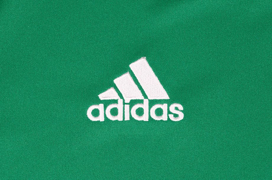 adidas Pánské Tričko Regista 20 Jersey FI4559