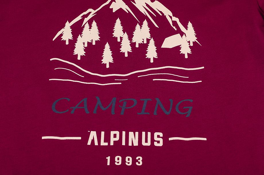 Alpinus Pánské tričko Polaris SI43991