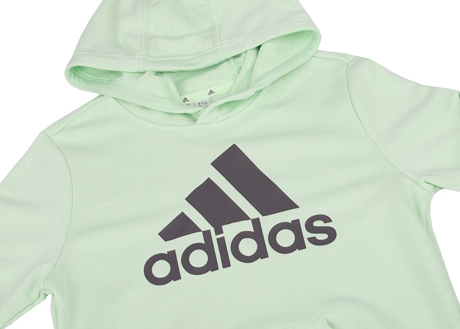 adidas Detská mikina Big Logo Essentials Cotton Hoodie IS2591