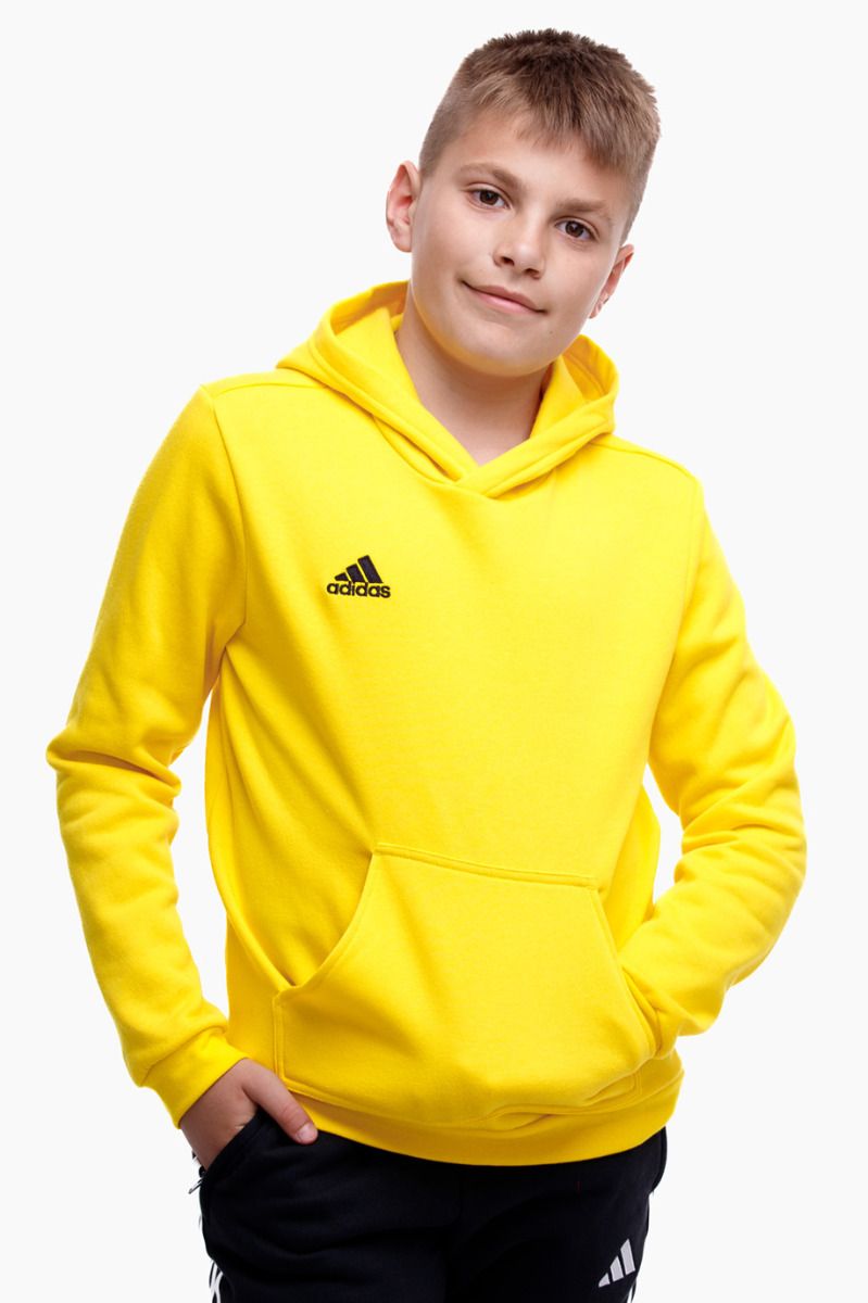 adidas Dětská Mikina Entrada 22 Hoody HI2142