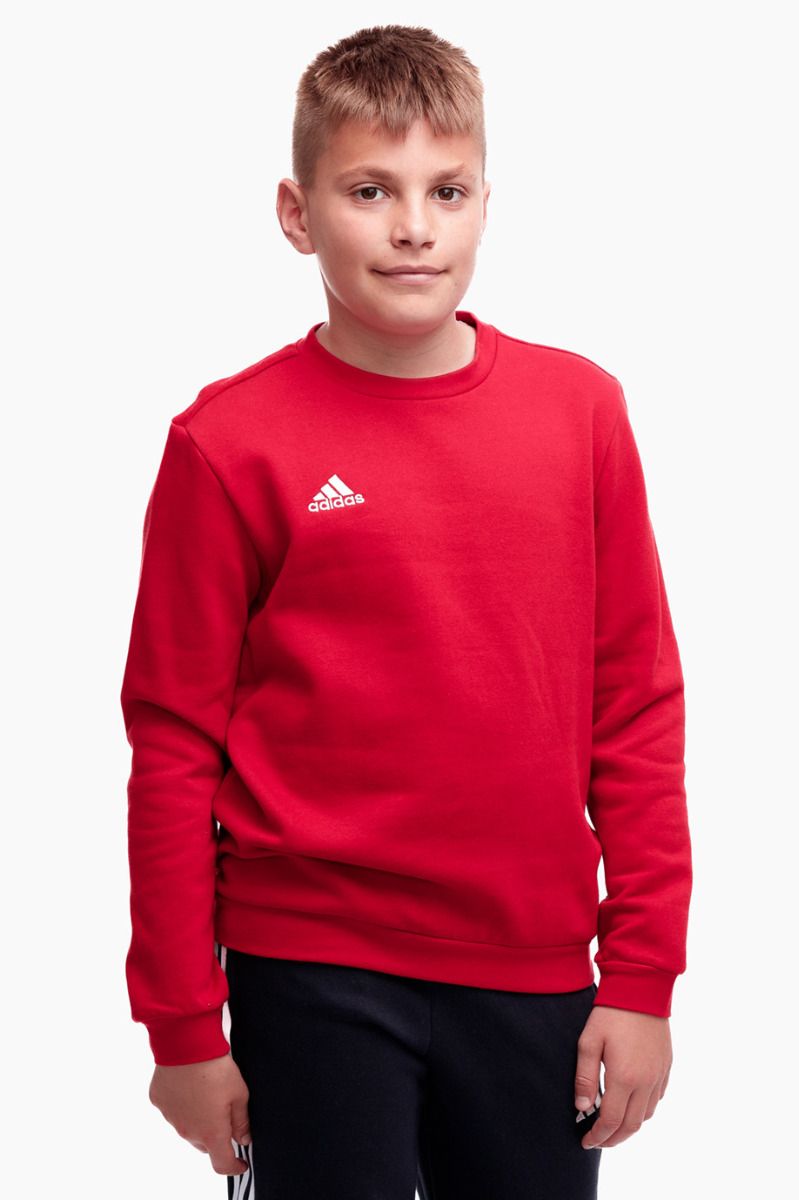 adidas Dětská mikina Entrada 22 Sweat Top H57473