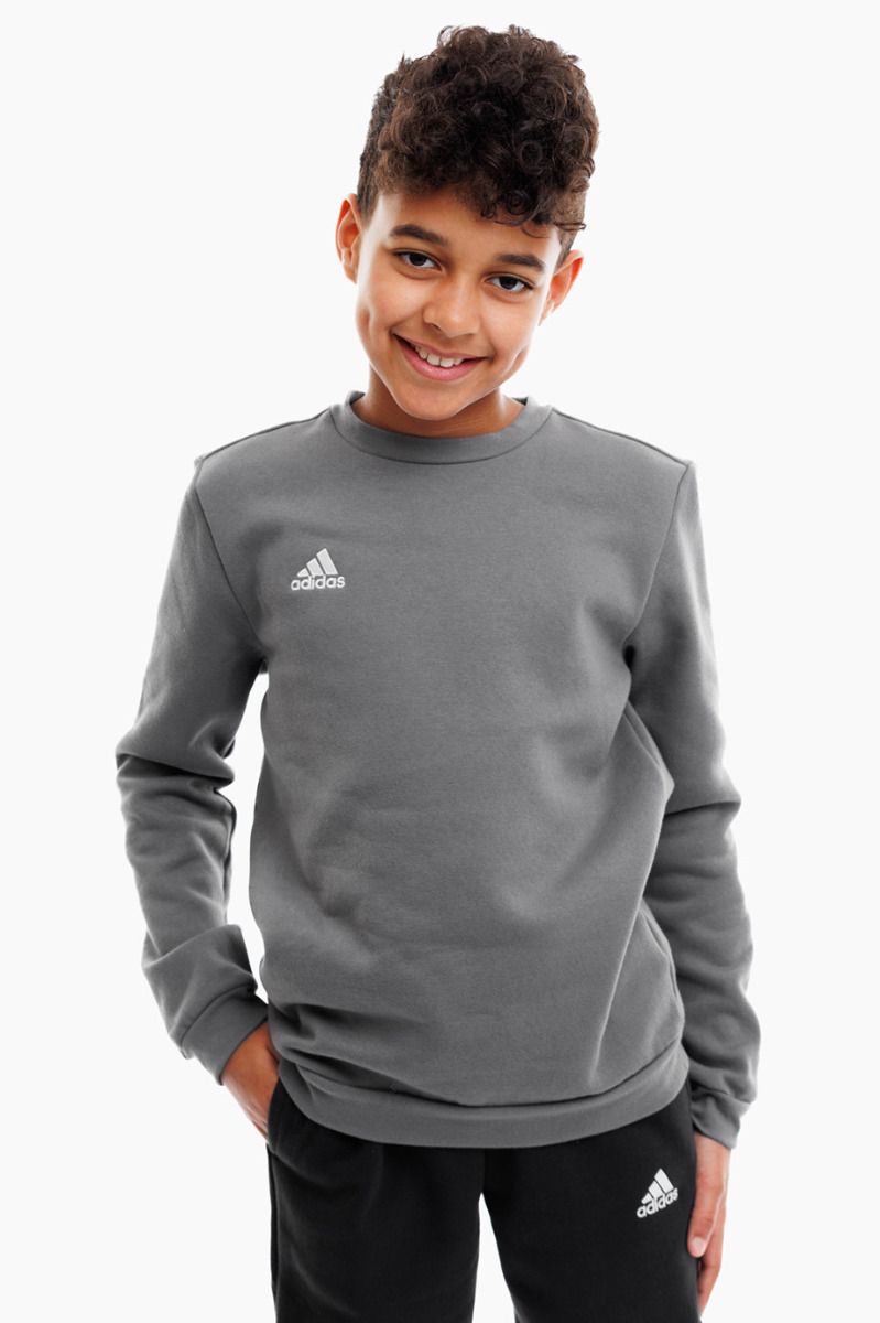 adidas Dětská mikina Entrada 22 Sweat Top H57477