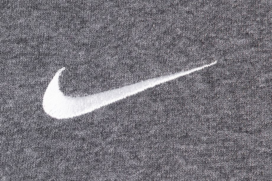 Nike Dětská mikina Flecee Park 20 Crew CW6904 071