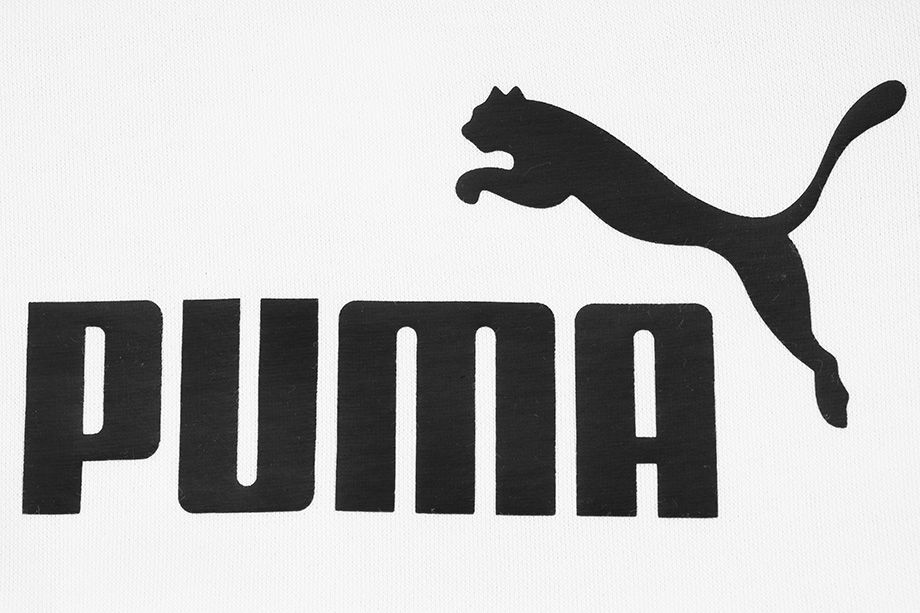 PUMA Dětská mikina ESS Block Hoodie FL B 849081 01 PUMA Dětská mikina ESS Block Hoodie FL B 849081 01