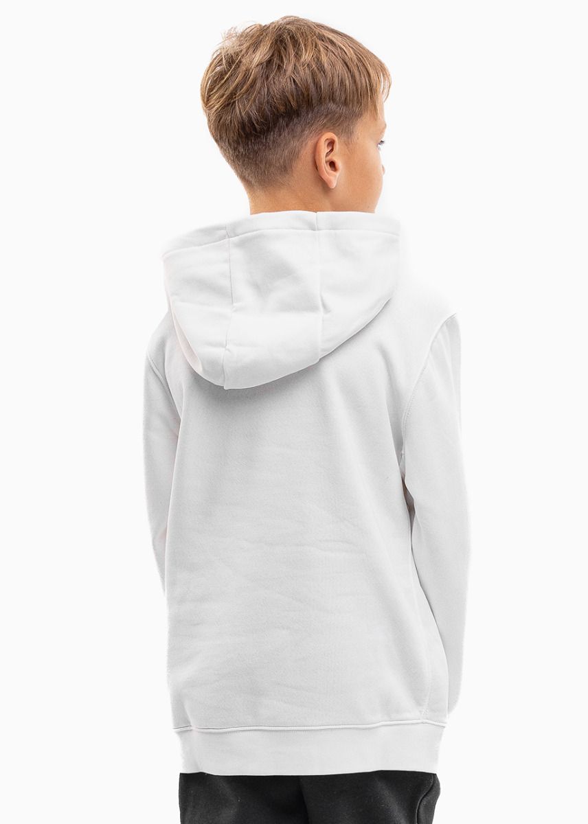 Nike Mikina pro děti Park Hoodie CW6896 101