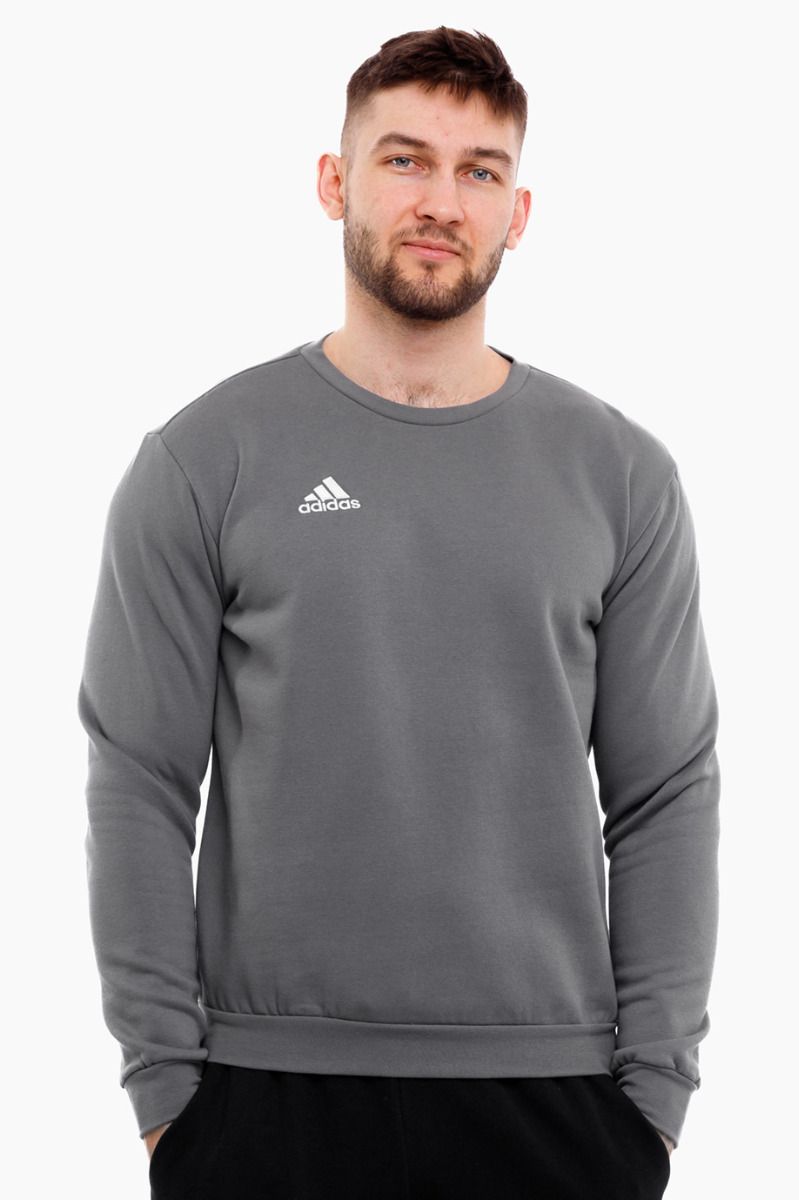 adidas Pánské Mikina Entrada 22 Sweatshirt Top H57479