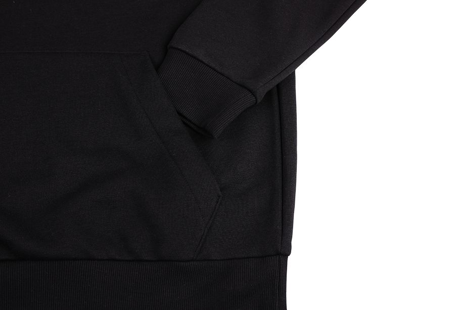 adidas Pánské Mikina Essentials Fleece Big Logo Hoodie GK9220