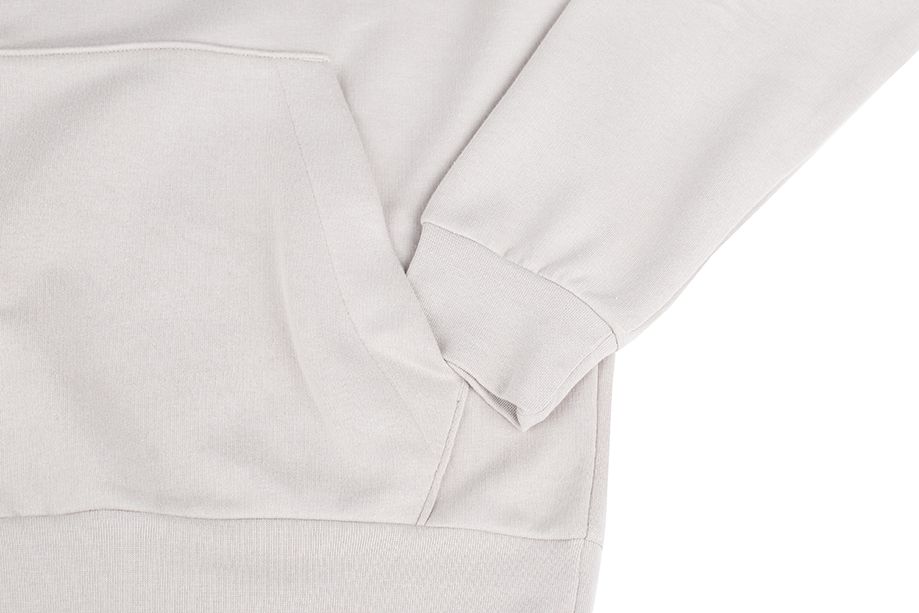 adidas Pánské Mikina Essentials Fleece Hoodie Feelcozy IL3294 adidas Pánské Mikina Essentials Fleece Hoodie Feelcozy IL3294