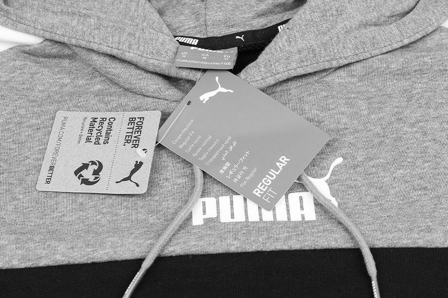 PUMA Pánská Mikina ESS+ Block Hoodie TR 847428 01