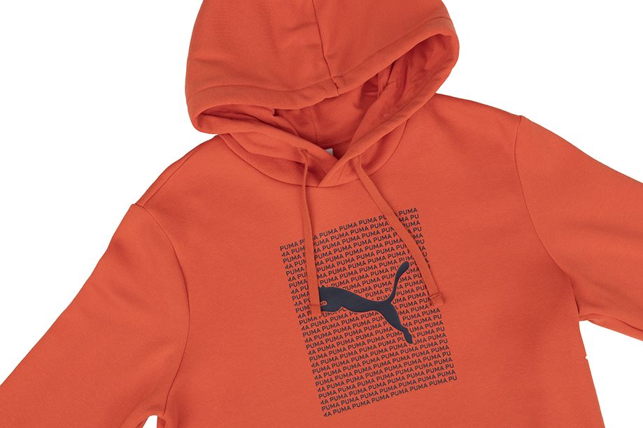 PUMA Pánská mikina Ess Logo Lab Hoodie FL 684669 15 PUMA Pánská mikina Ess Logo Lab Hoodie FL 684669 15