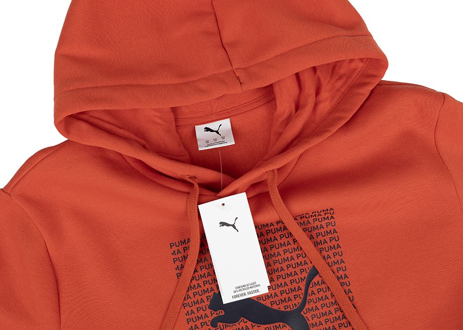 PUMA Pánská mikina Ess Logo Lab Hoodie FL 684669 15 PUMA Pánská mikina Ess Logo Lab Hoodie FL 684669 15