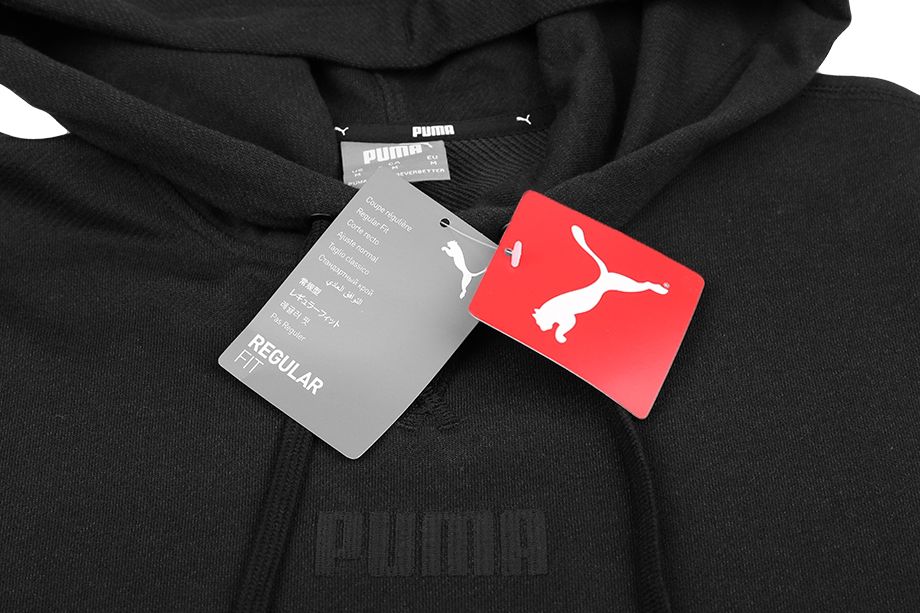 PUMA Pánská Mikina Modern Basics Hoodie TR 847410 01