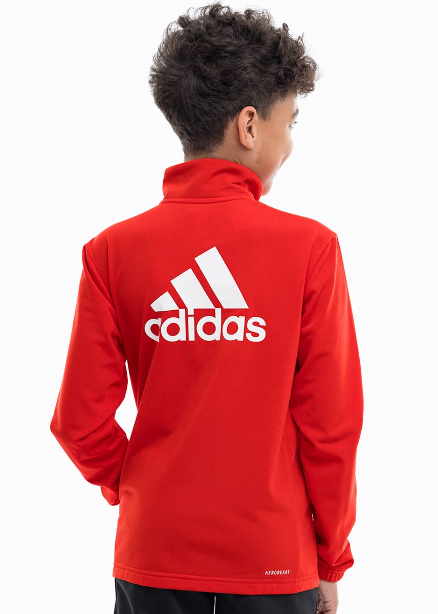 adidas Dětská tepláková souprava Essentials Big Logo Track Suit IJ6305