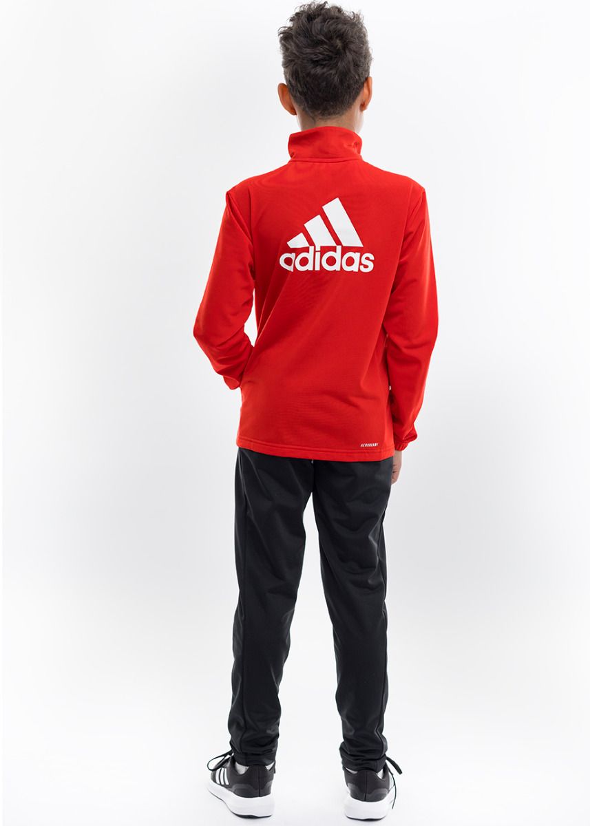 adidas Dětská tepláková souprava Essentials Big Logo Track Suit IJ6305