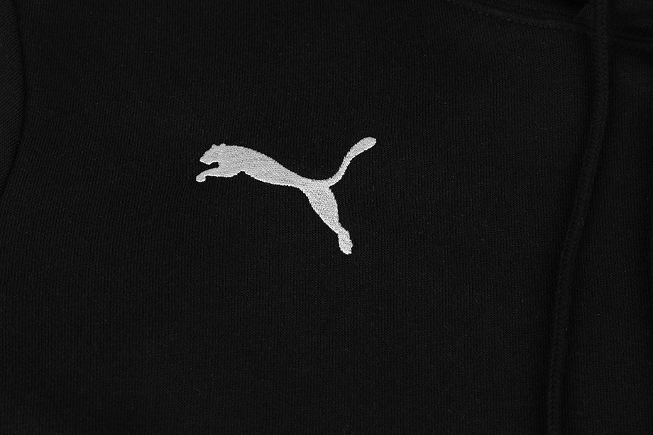 PUMA Tepláková souprava 23 Causals Hoody 656580 03/656582 03 PUMA Tepláková souprava 23 Causals Hoody 656580 03/656582 03