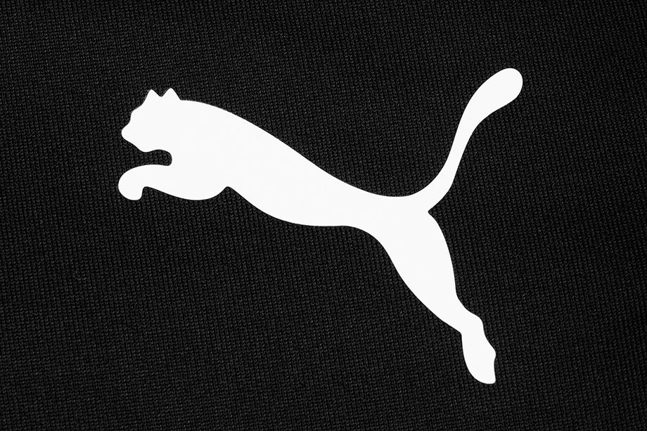 PUMA Tepláková souprava Rtg Hoodie 585831 01/585833 01 PUMA Tepláková souprava Rtg Hoodie 585831 01/585833 01