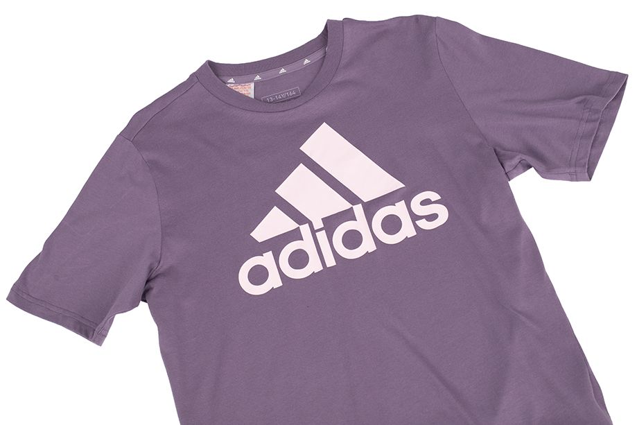 adidas Dětské tričko Essentials Big Logo Cotton Tee IJ7061