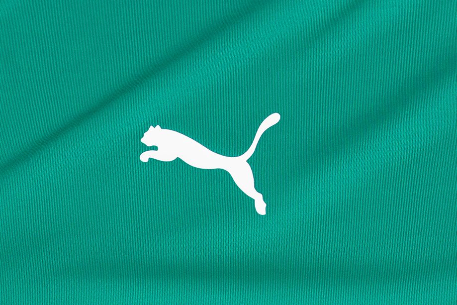 PUMA Dětské tričko teamLIGA Jersey Junior 704925 05