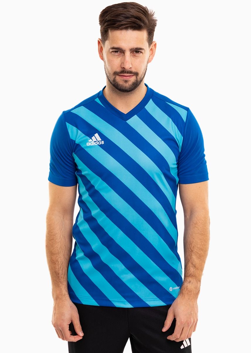 adidas pánské tričko Entrada 22 Graphic Jersey HF0116