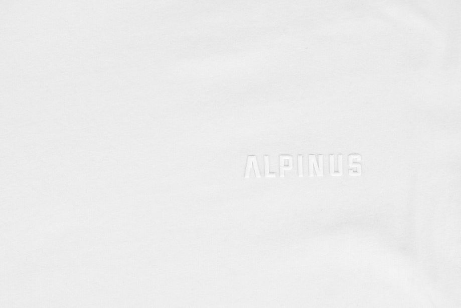 Alpinus Pánské tričko Como BR18239