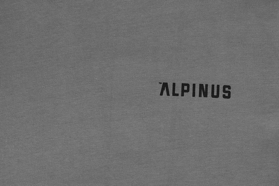 Alpinus Pánské tričko Breheimen SI18006