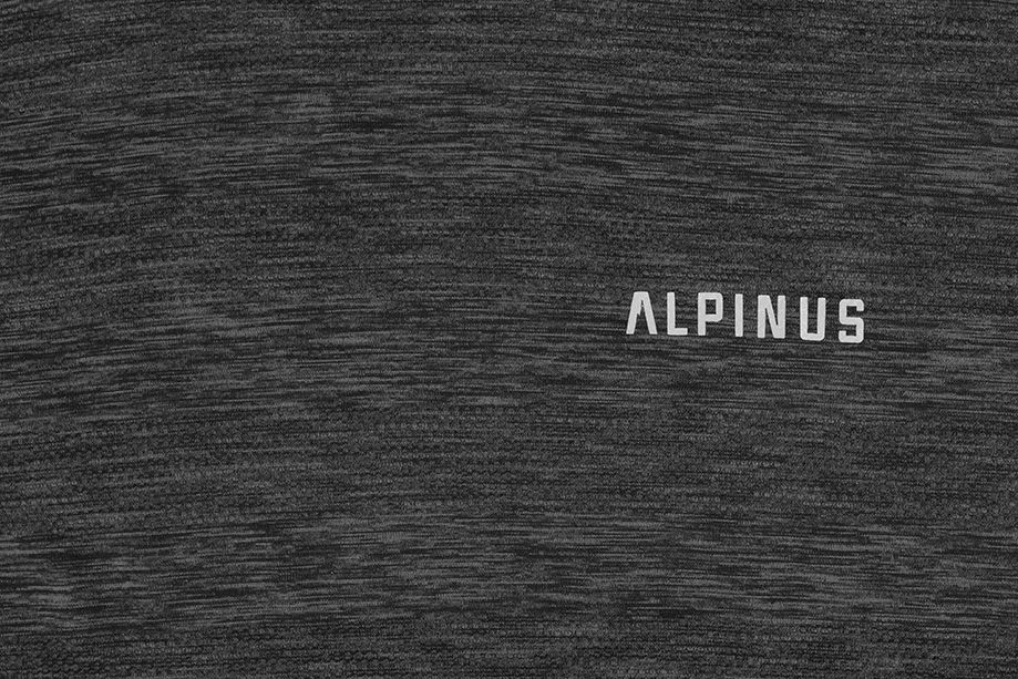 Alpinus Pánské tričko Braies GT18282