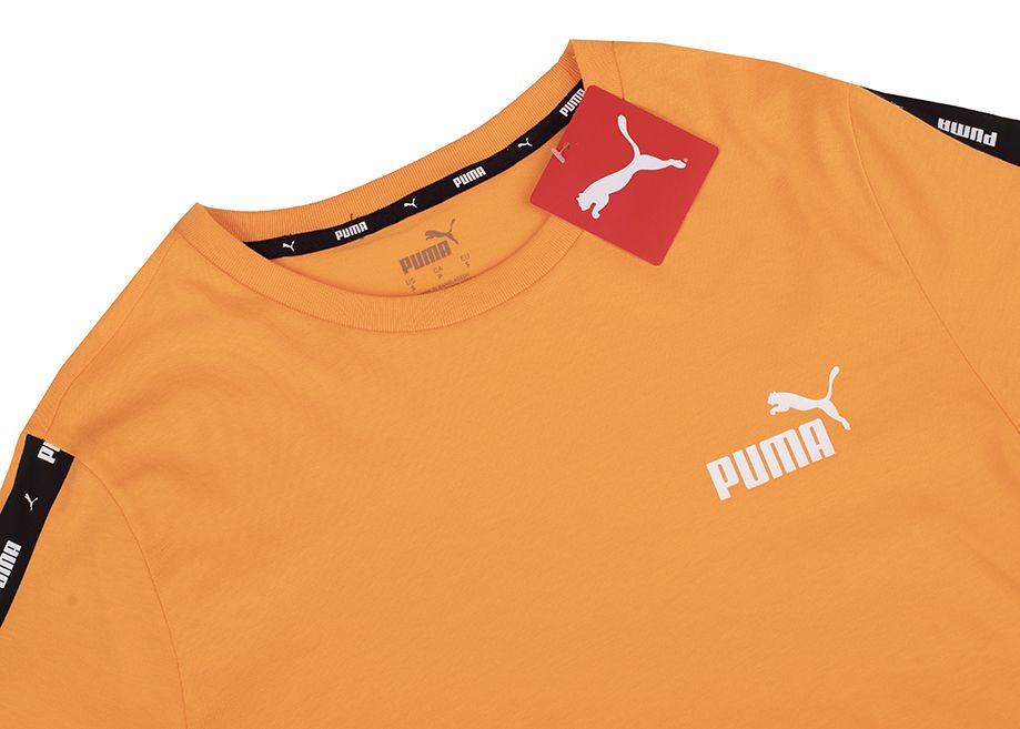 PUMA Pánské tričko Essential 847382 58