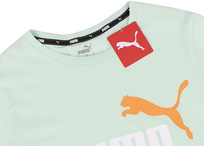 PUMA Pánské tričko ESS+ 2 Col Logo Tee 586759 88