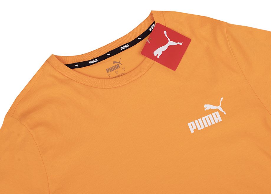 PUMA Pánské tričko ESS Small Logo Tee 586669 58