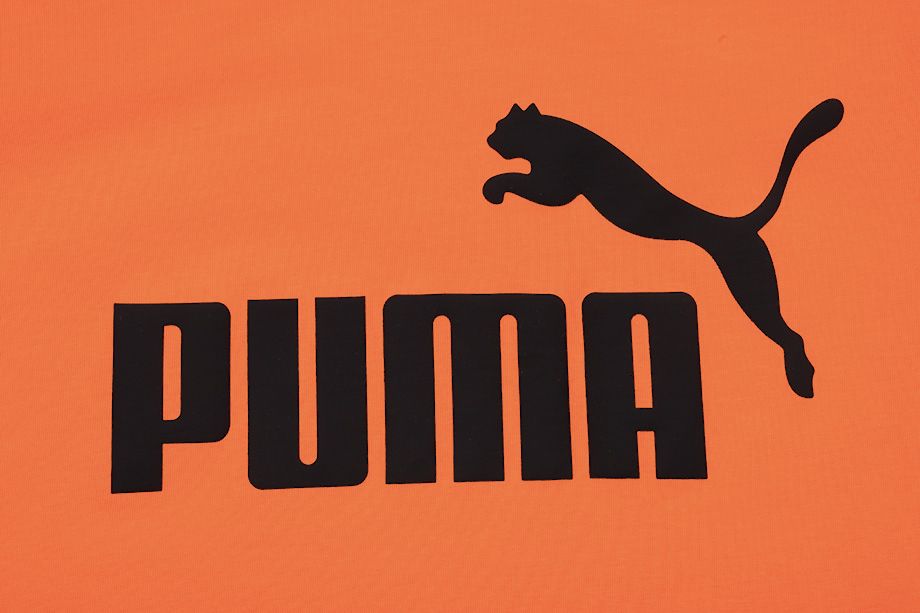 Puma Pánské Tričko ESS Logo Tee 586667 94