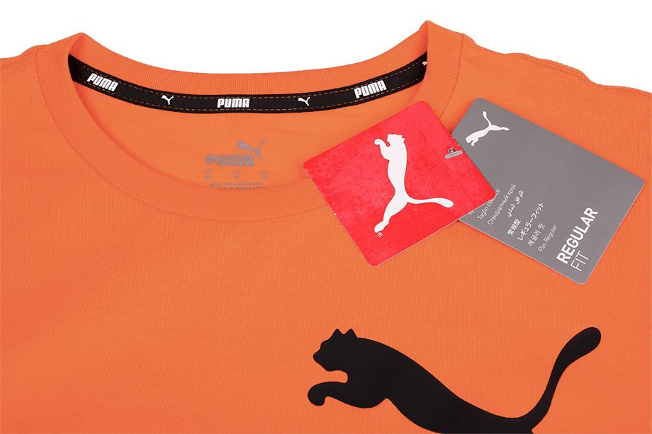 Puma Pánské Tričko ESS Logo Tee 586667 94