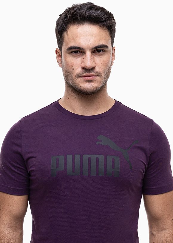 PUMA Pánské Tričko Essential Logo Tee 586667 18