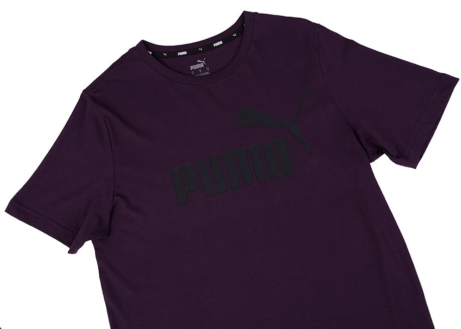 PUMA Pánské Tričko Essential Logo Tee 586667 18