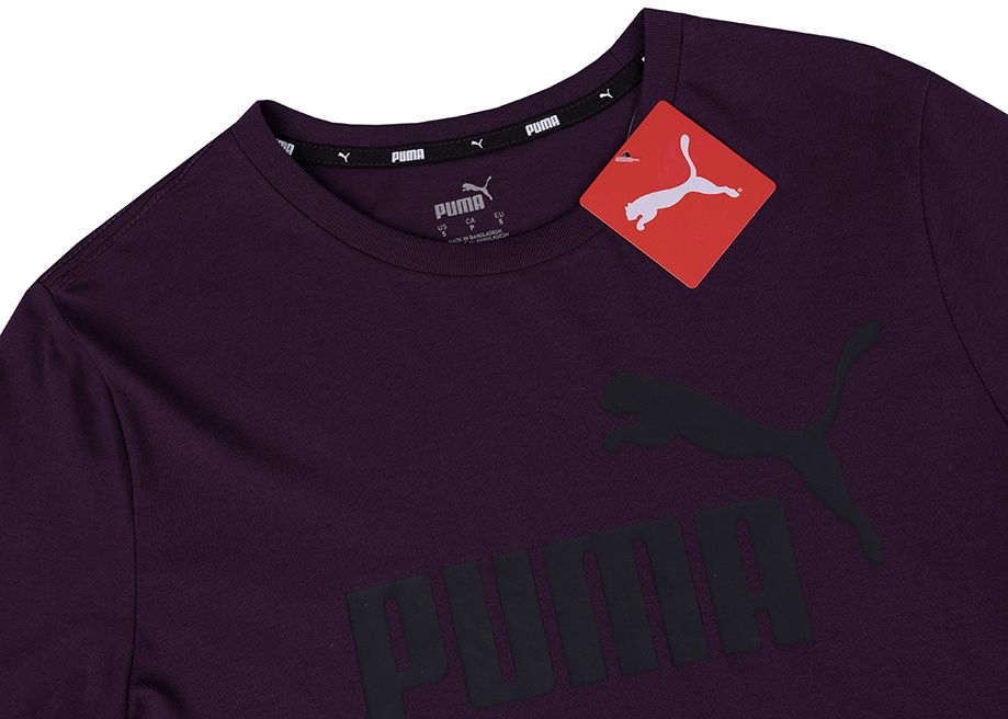 PUMA Pánské Tričko Essential Logo Tee 586667 18