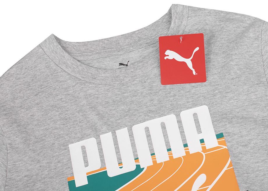 PUMA Pánské tričko GRAPHICS Summer Sports Tee II 627909 04