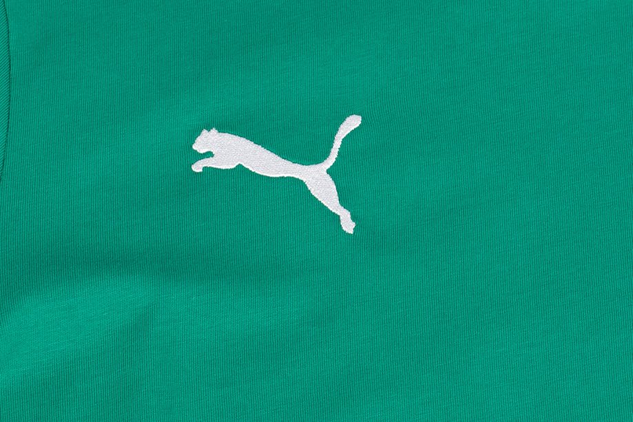 PUMA Pánské tričko teamGOAL 23 Casuals Tee 656578 05